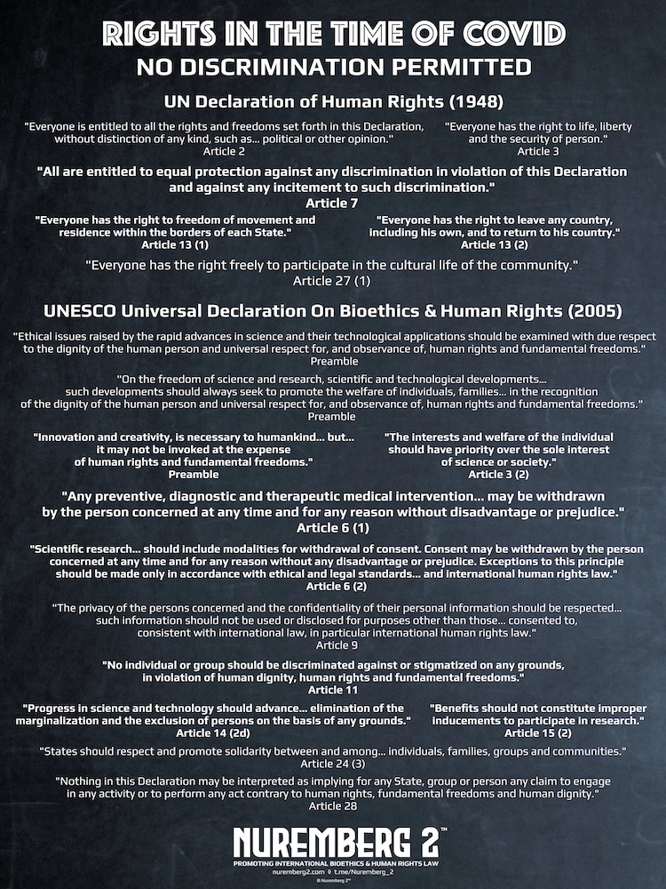 POSTER - No Discrimination Permitted (chalkboard). Human Rights in the Time of Covid.