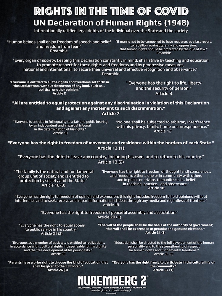 POSTER - UN Universal Declaration of Human Rights (1948) (chalkboard). Human Rights in the Time of Covid.
