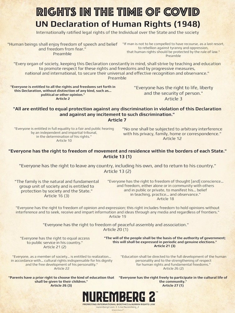 POSTER - UN Universal Declaration of Human Rights (1948) (parchment). Human Rights in the Time of Covid.